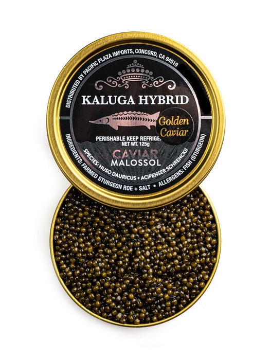 Golden Kaluga Hybrid